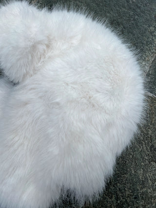 シャギーファートルーパービーニー