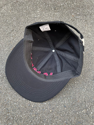 JAMES PANEL CAP